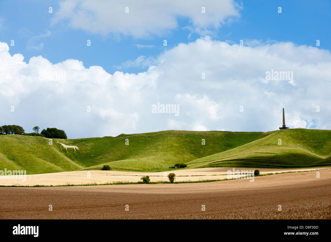 Il Cherhill Downs. Wiltshire, Regno Unito. Foto Stock