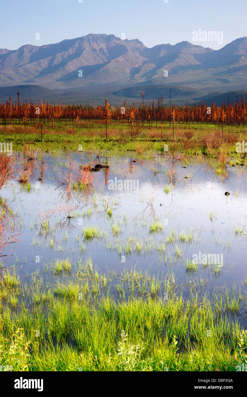Un tarn o lago appena fuori la Highway 2 riflette l'Alaska paesaggio di montagna Foto Stock