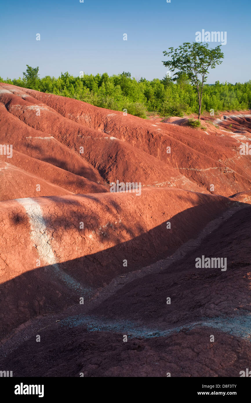 Badlands, Ontario, Canada. Foto Stock