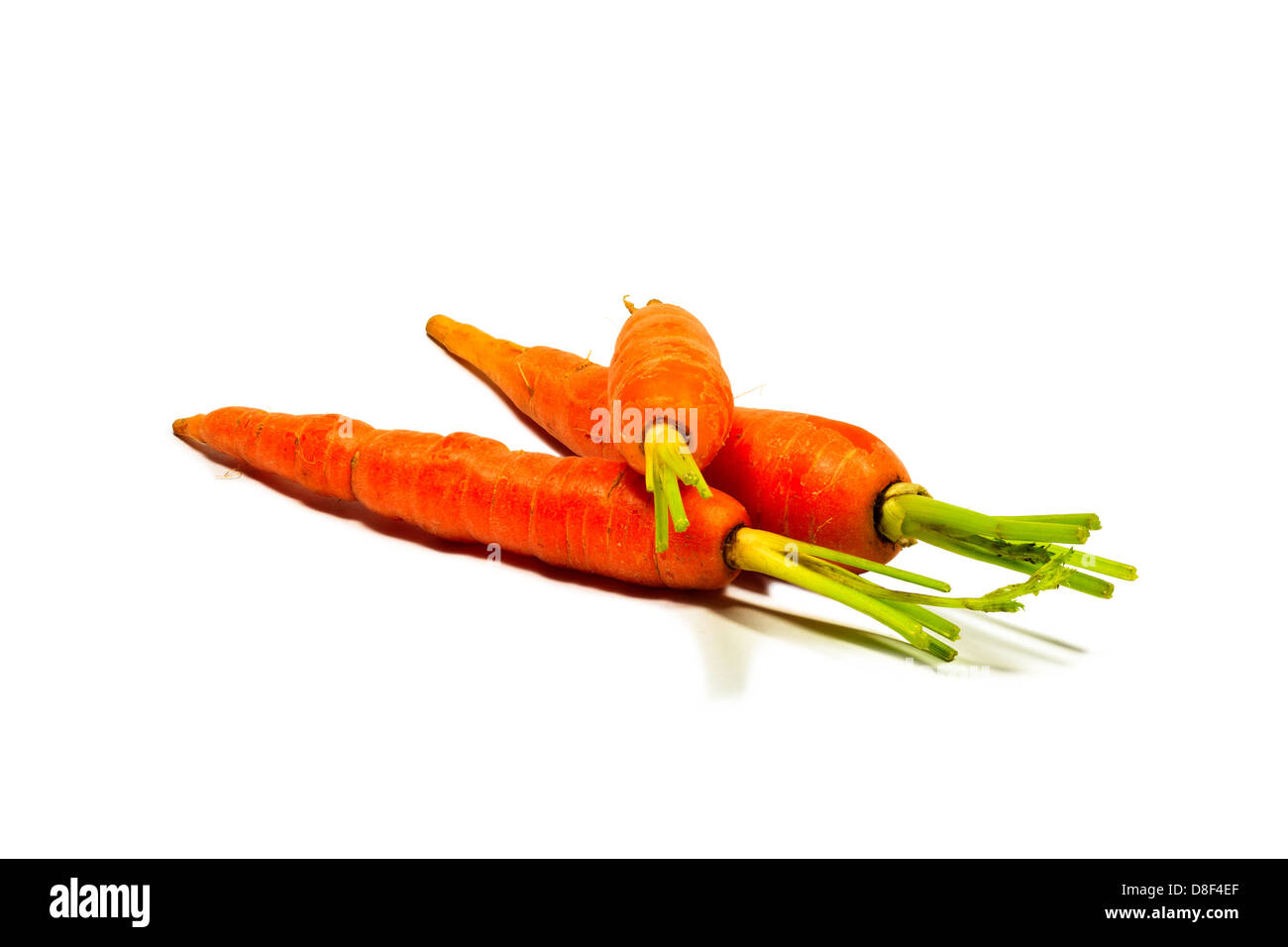 Baby carote isolati su sfondo bianco Foto Stock