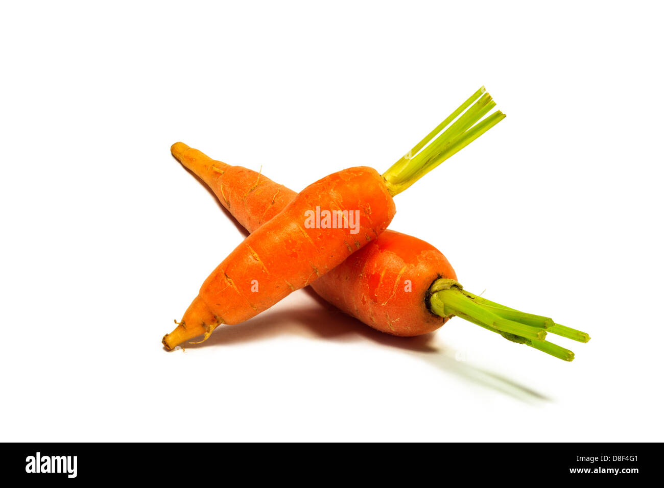 Baby carote su sfondo bianco Foto Stock