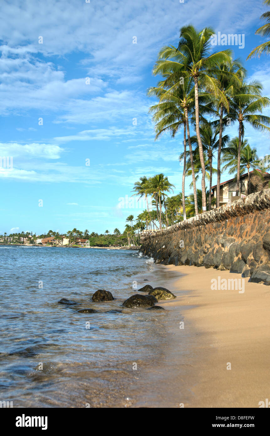 Bellissimo litorale con sponde rocciose e le palme sulla bellissima isola hawaiana di Maui Foto Stock