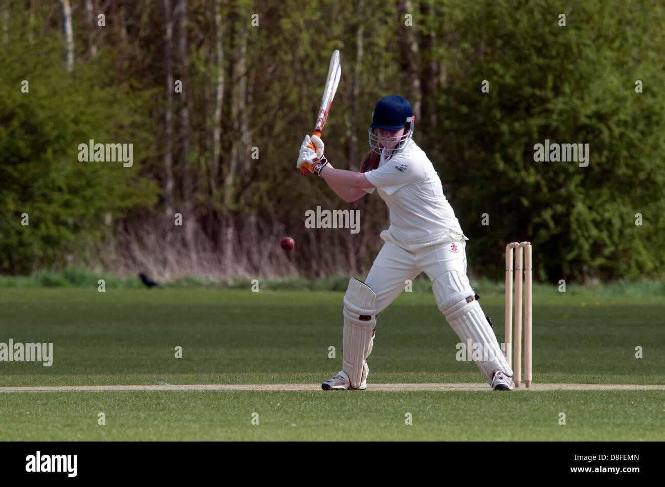 Università sport, signori cricket Foto Stock