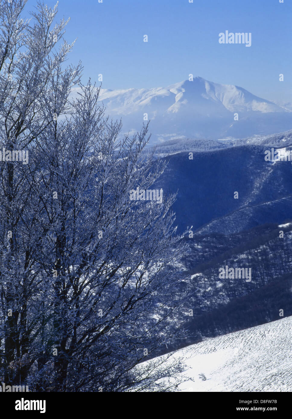 Inverno in montagna dall'Europa Foto Stock