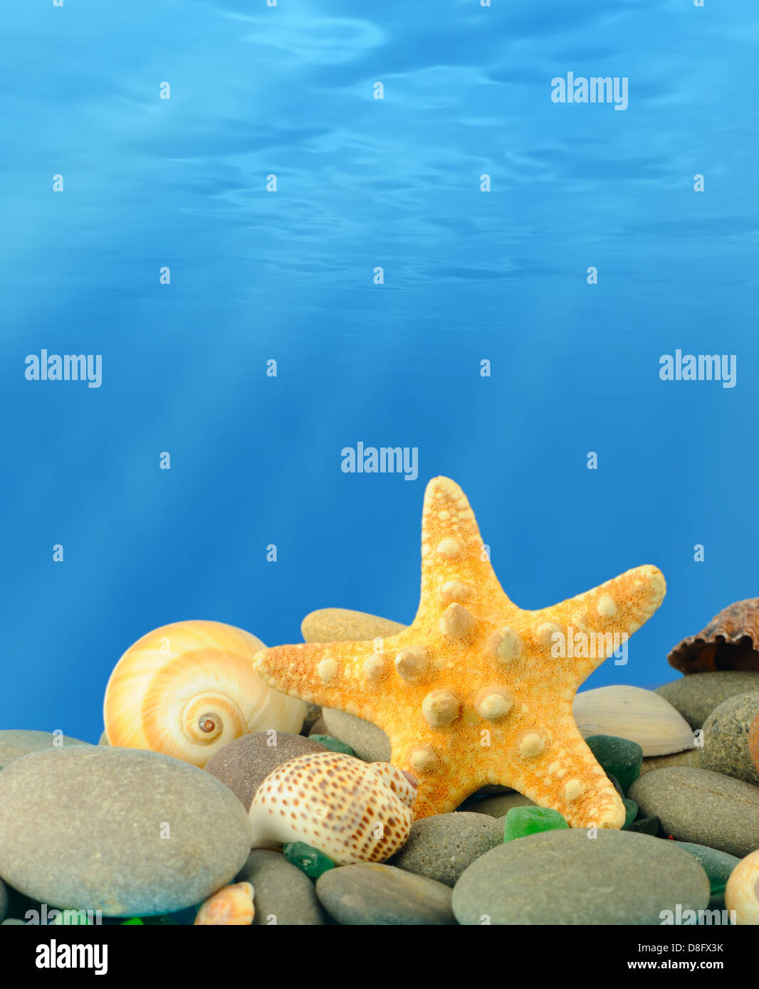 Il mondo sottomarino Foto Stock