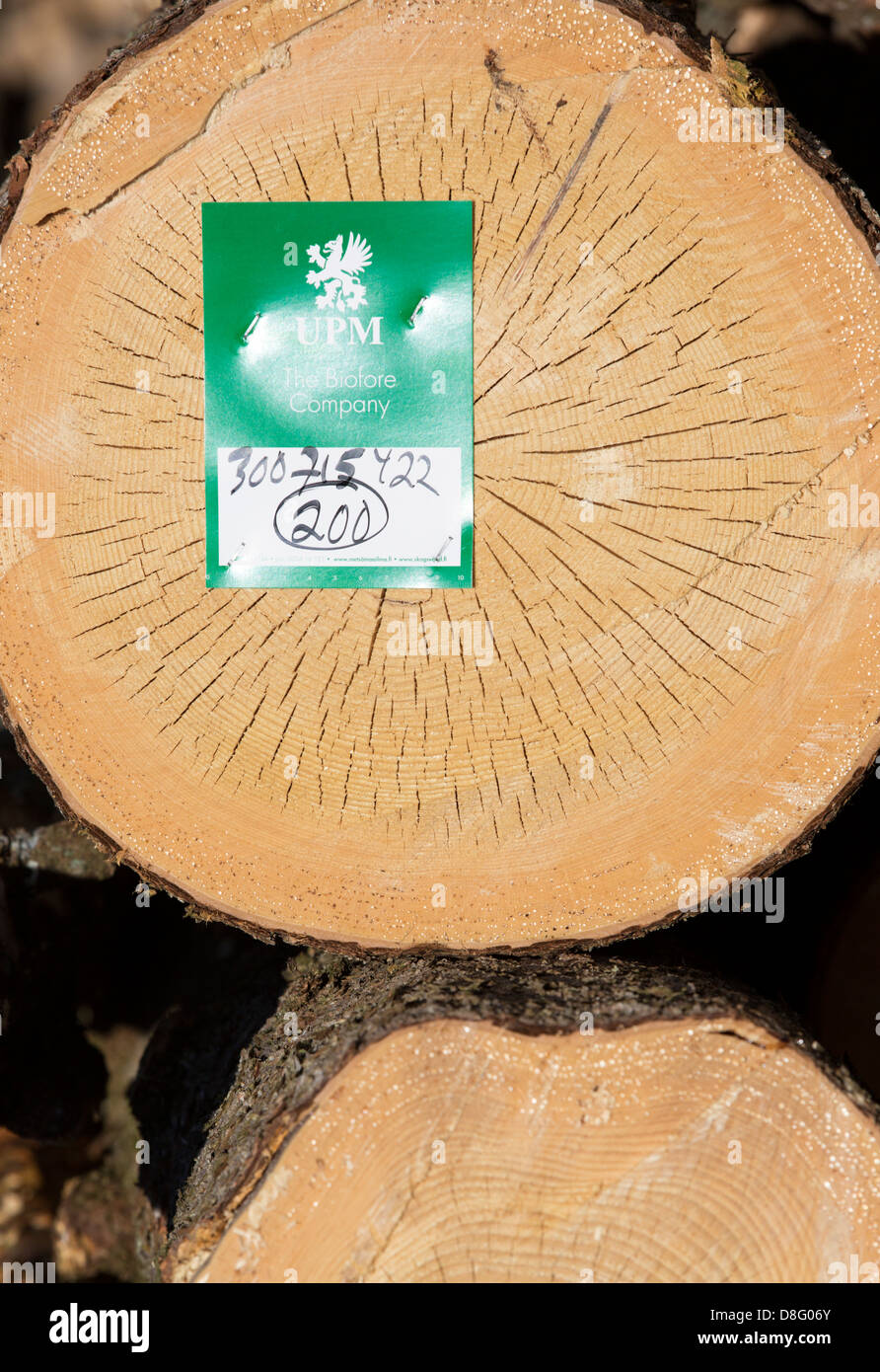 Acquirenti tag su log ( UPM Kymmene , Finlandia ) Foto Stock