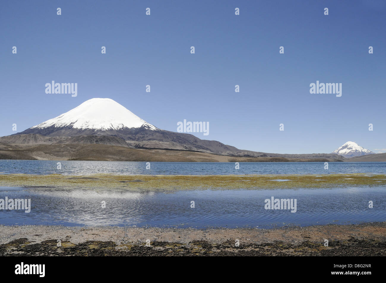 Vulcano Parinacota Foto Stock