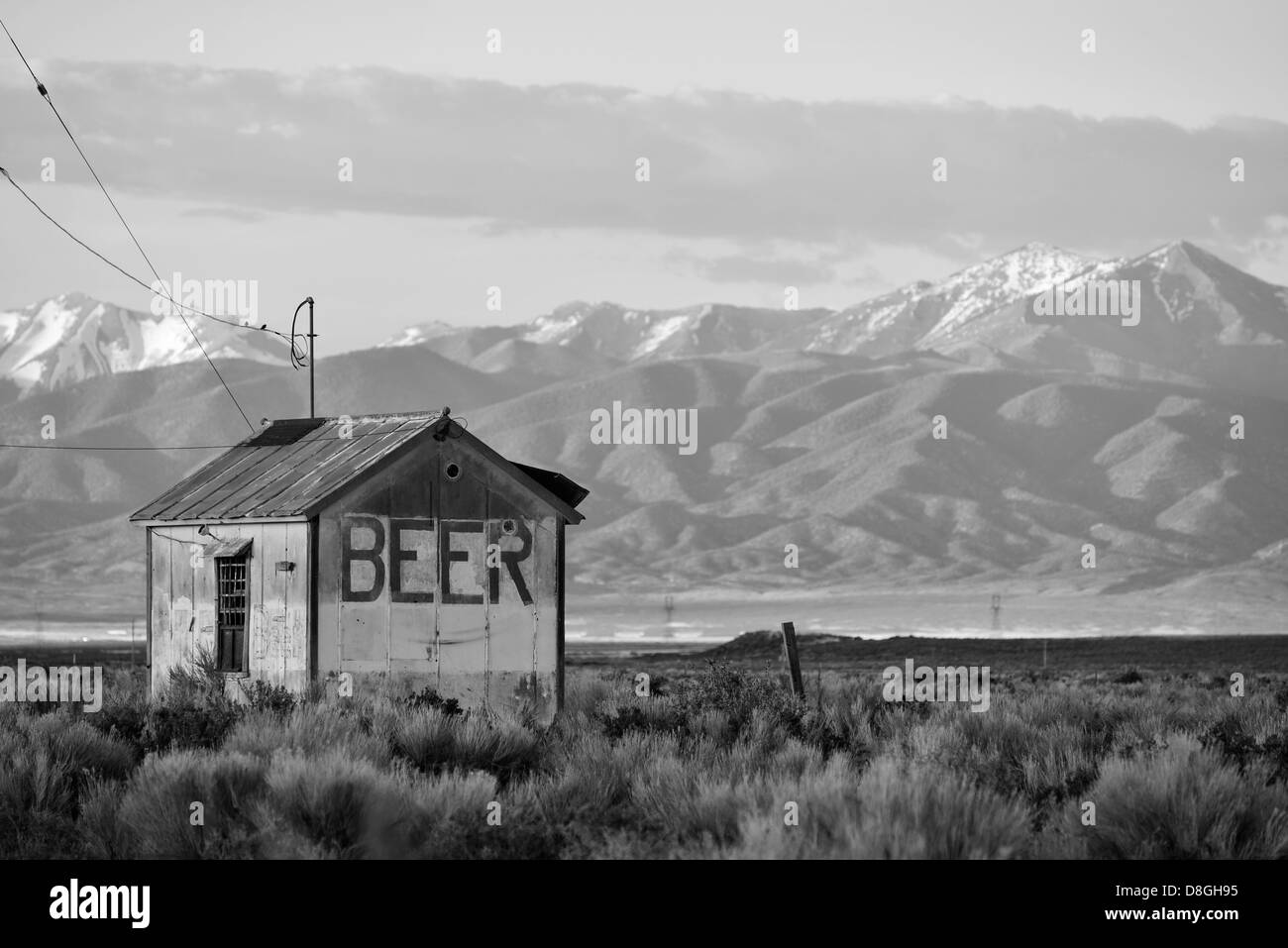 Annuncio di birra sulla costruzione nel grande bacino deserto dello Utah. Foto Stock