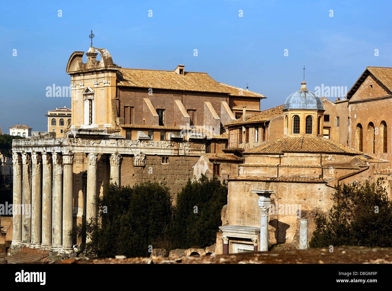 Forum Romanum in Roma Foto Stock