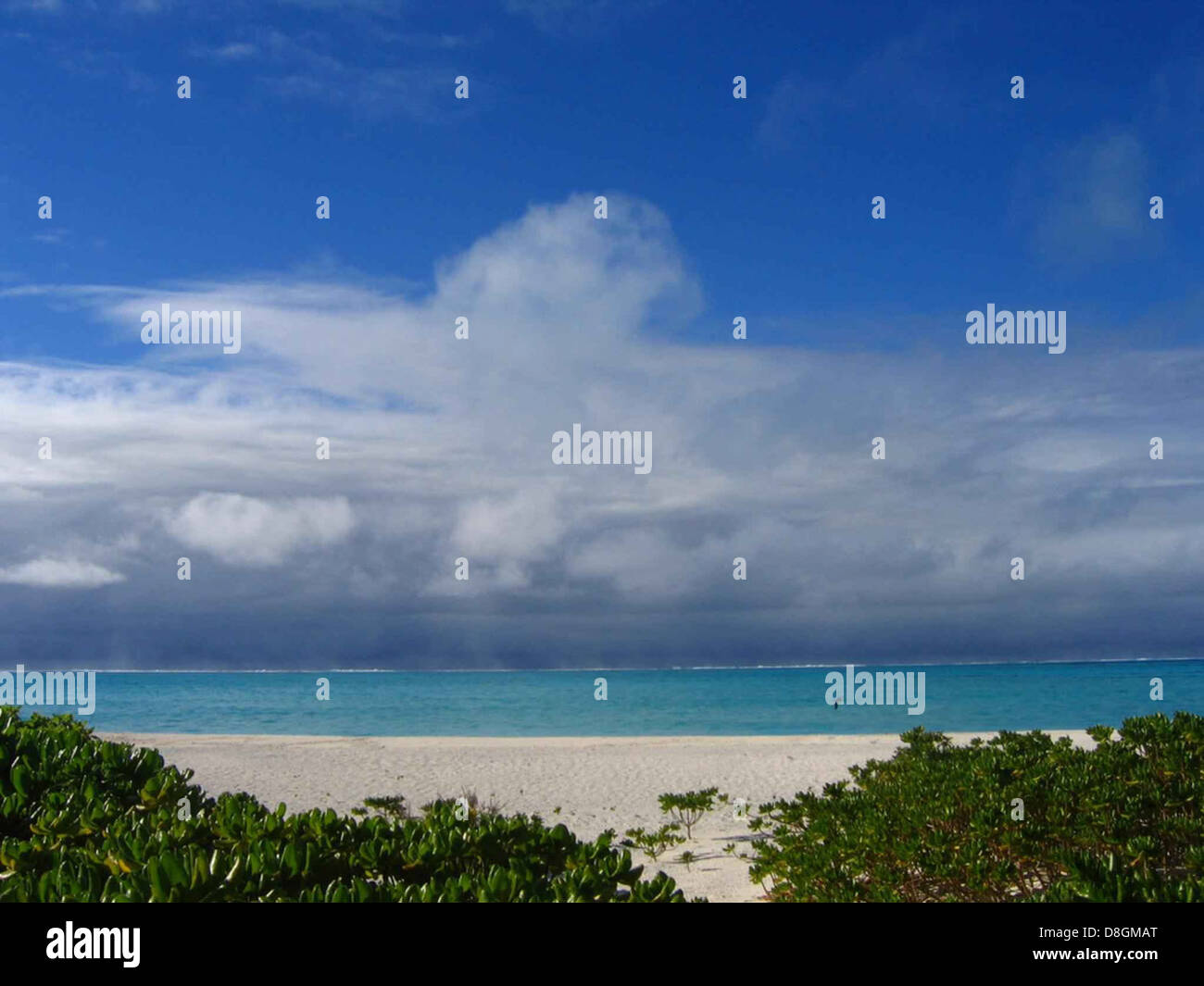 Sulla spiaggia di Midway atoll National Wildlife Refuge. Foto Stock