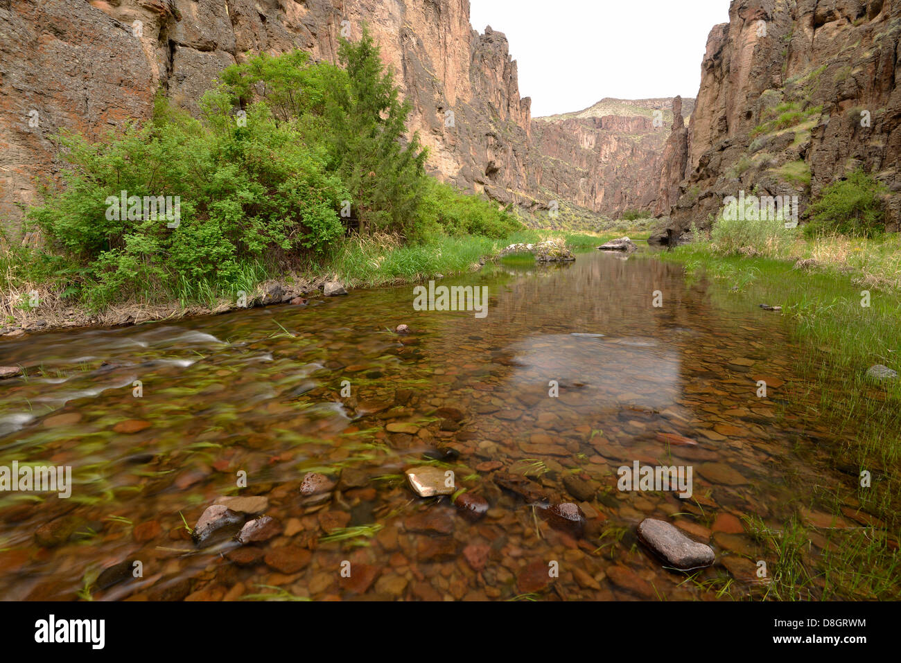 Pecore Creek Canyon, Idaho meridionale. Foto Stock