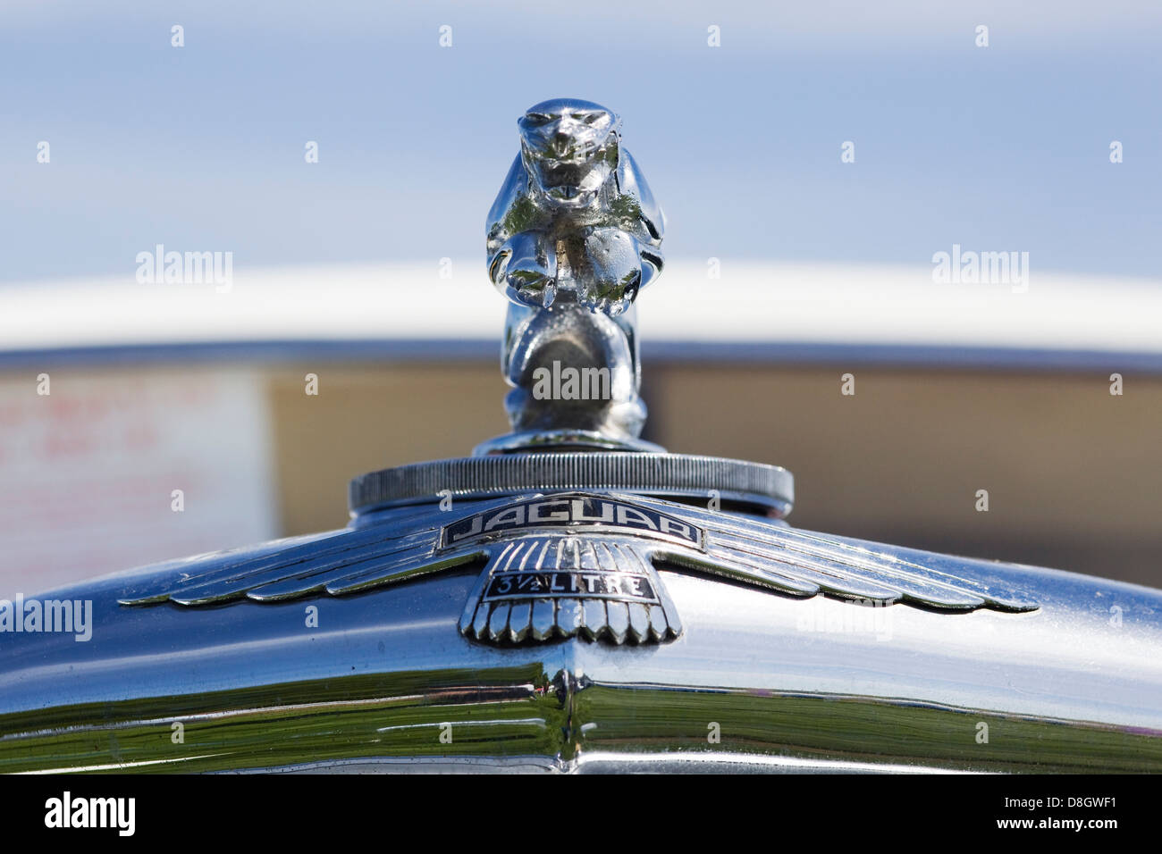 Auto d'epoca ornamento del cofano di un cromo Jaguar Foto Stock