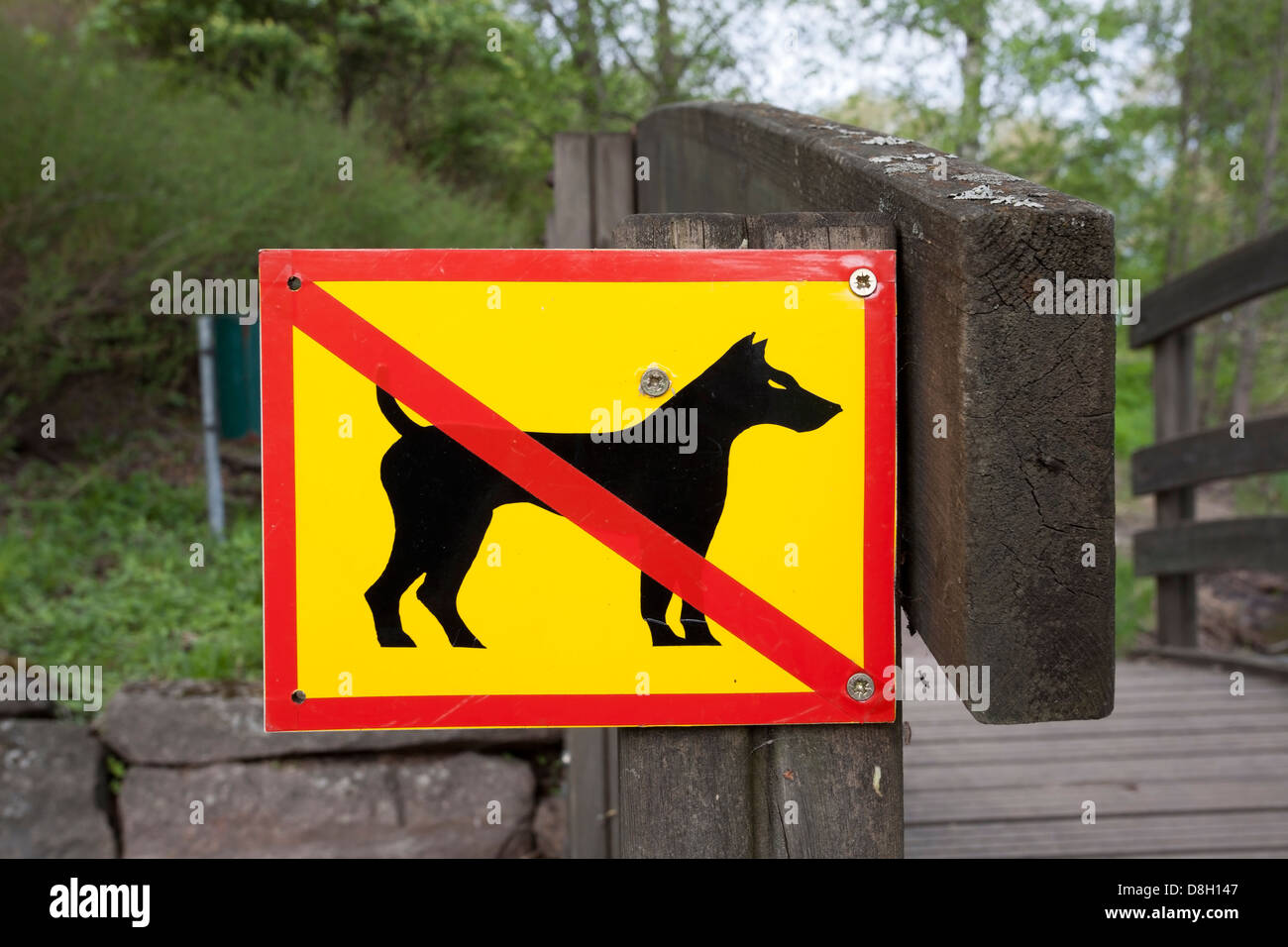 Non sono ammessi cani segno nel parco, Lappeenranta FINLANDIA Foto Stock