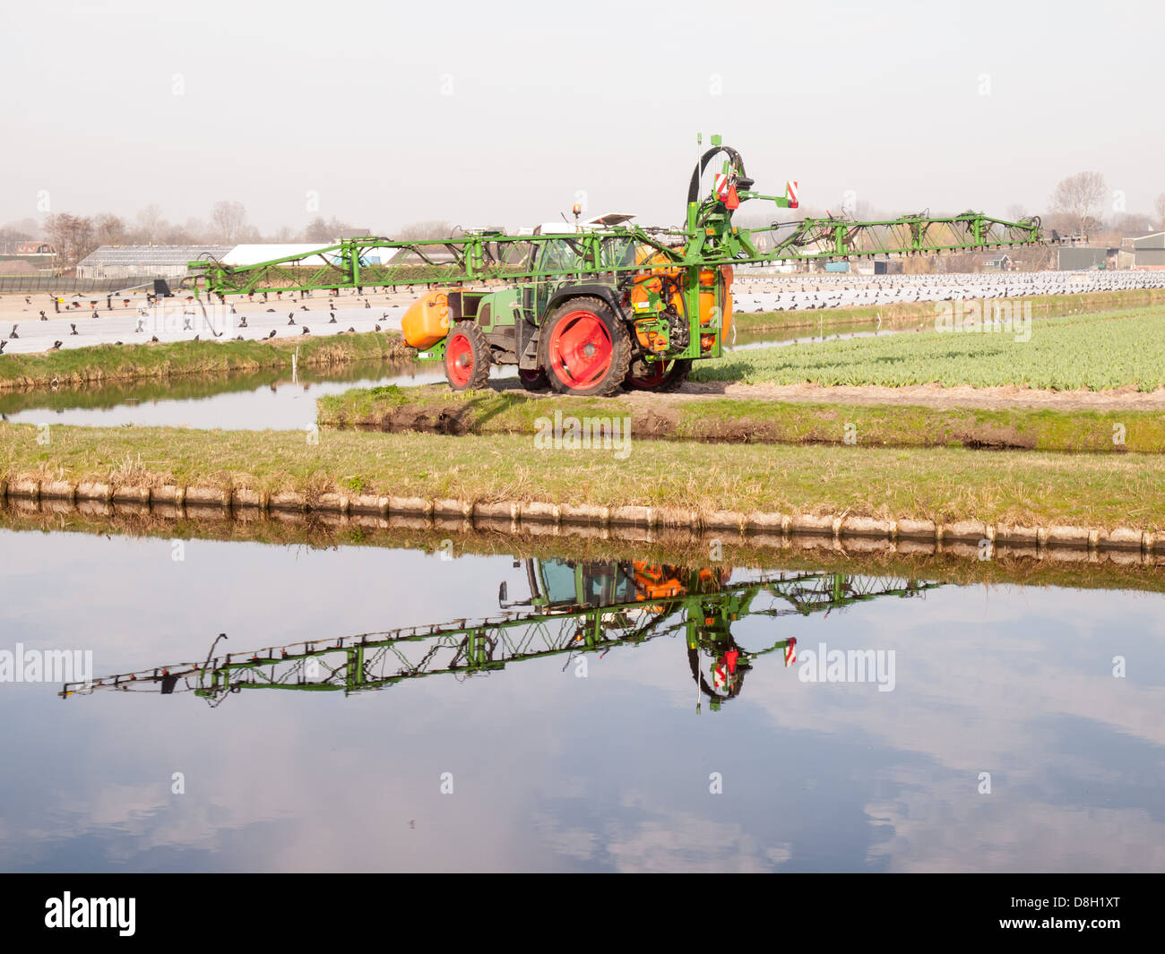 Il trattore la spruzzatura di pesticidi su campi di tulipani con la riflessione sulla superficie di un canale. Concetto di gestione del territorio e dell'ambiente. Foto Stock