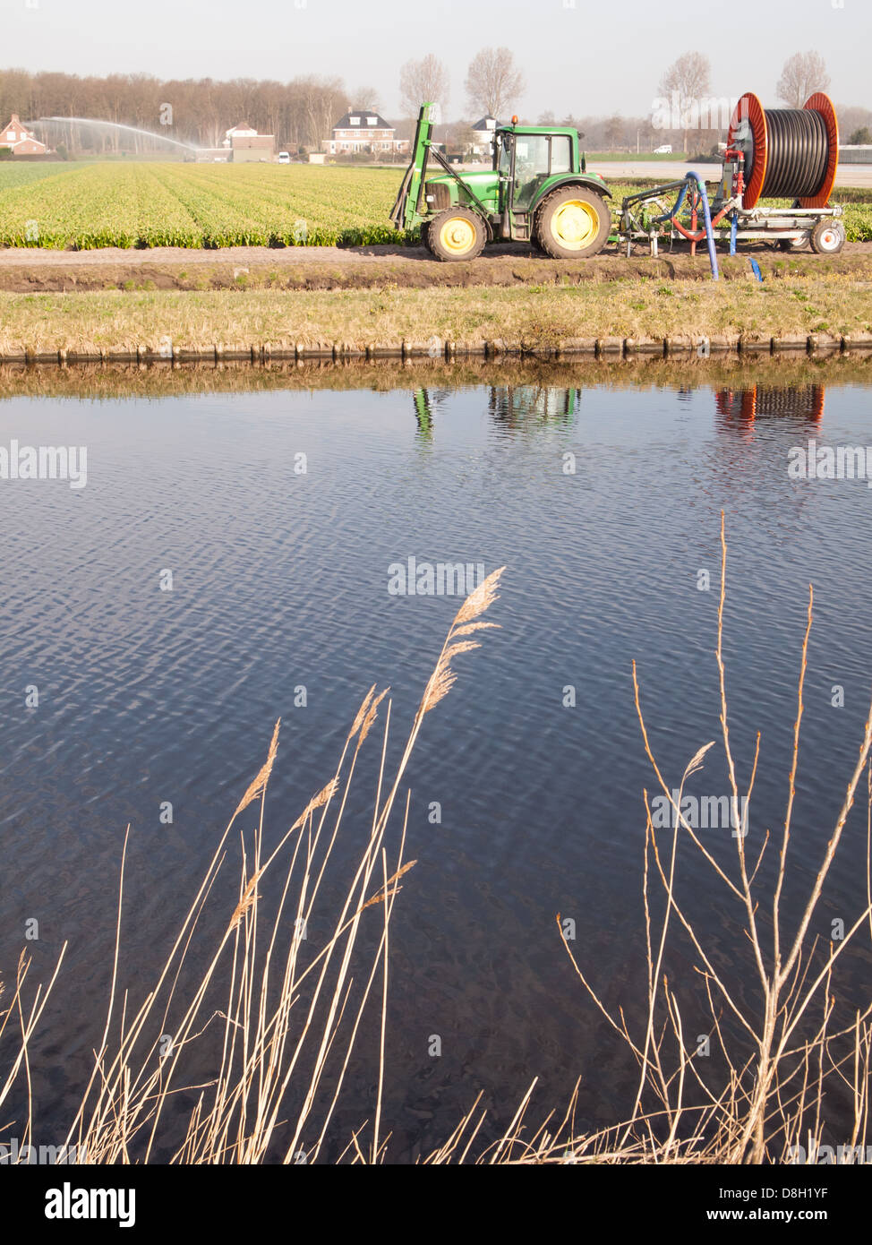 Il trattore il pompaggio di acqua sui campi di tulipani in secco di primavera del 2013 Foto Stock