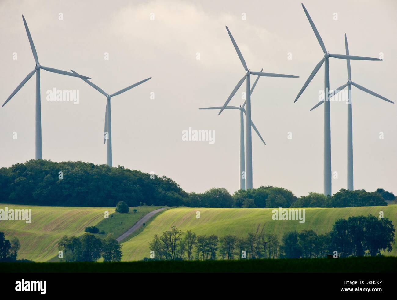 Le turbine eoliche stand su un campo vicino Mallnow, Germania, 29 maggio 2013. Foto: Patrick Pleul Foto Stock