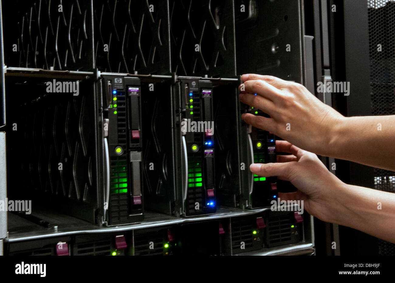 Donna l'installazione di lame in grandi impilate computer server nel gruppo IT industry Foto Stock
