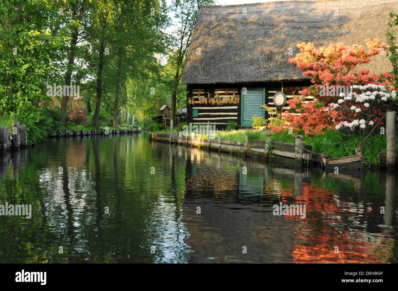 Casa di Spreewald Foto Stock