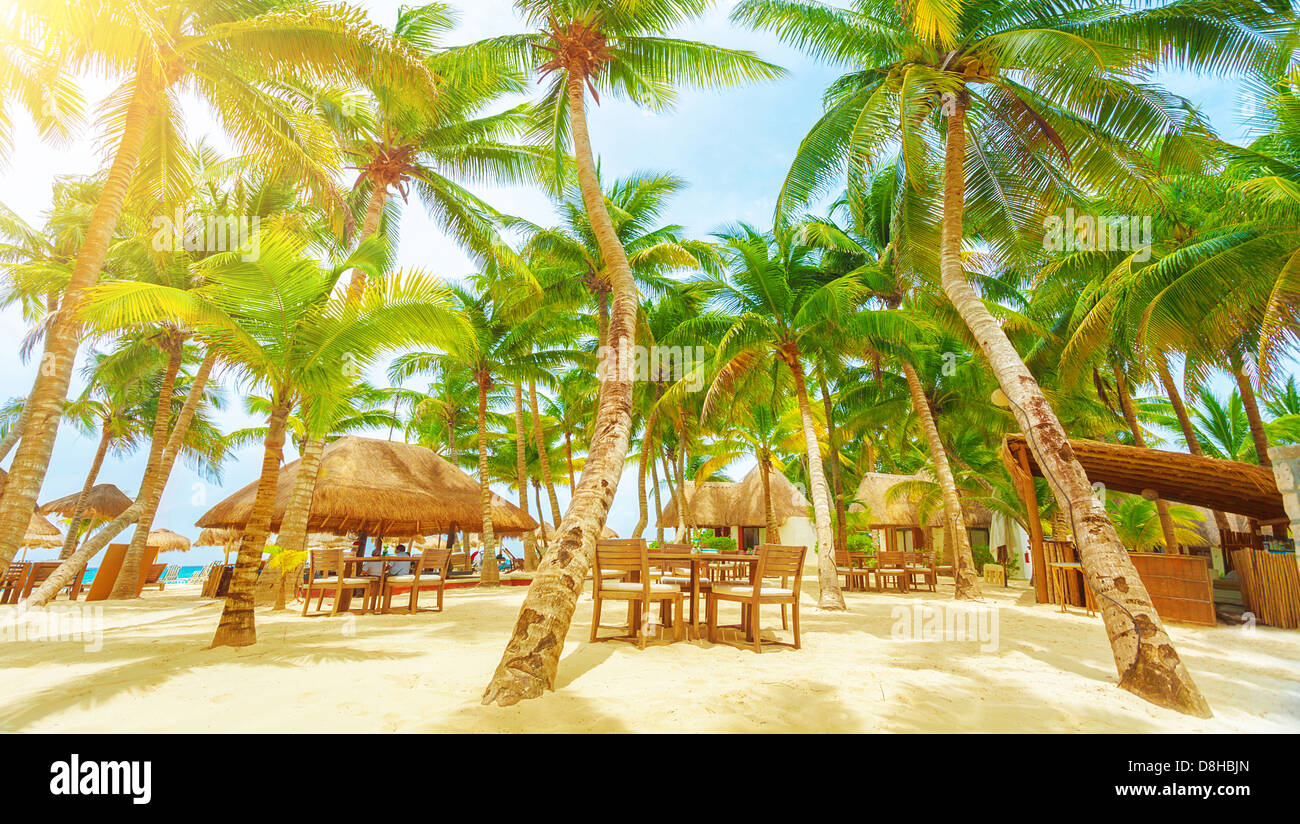 Luxury beach resort a Playa del Carmen, una romantica luna di miele, bellissimi bungalow sul seaboard fresco verde Palm tree, intimo cafe Foto Stock