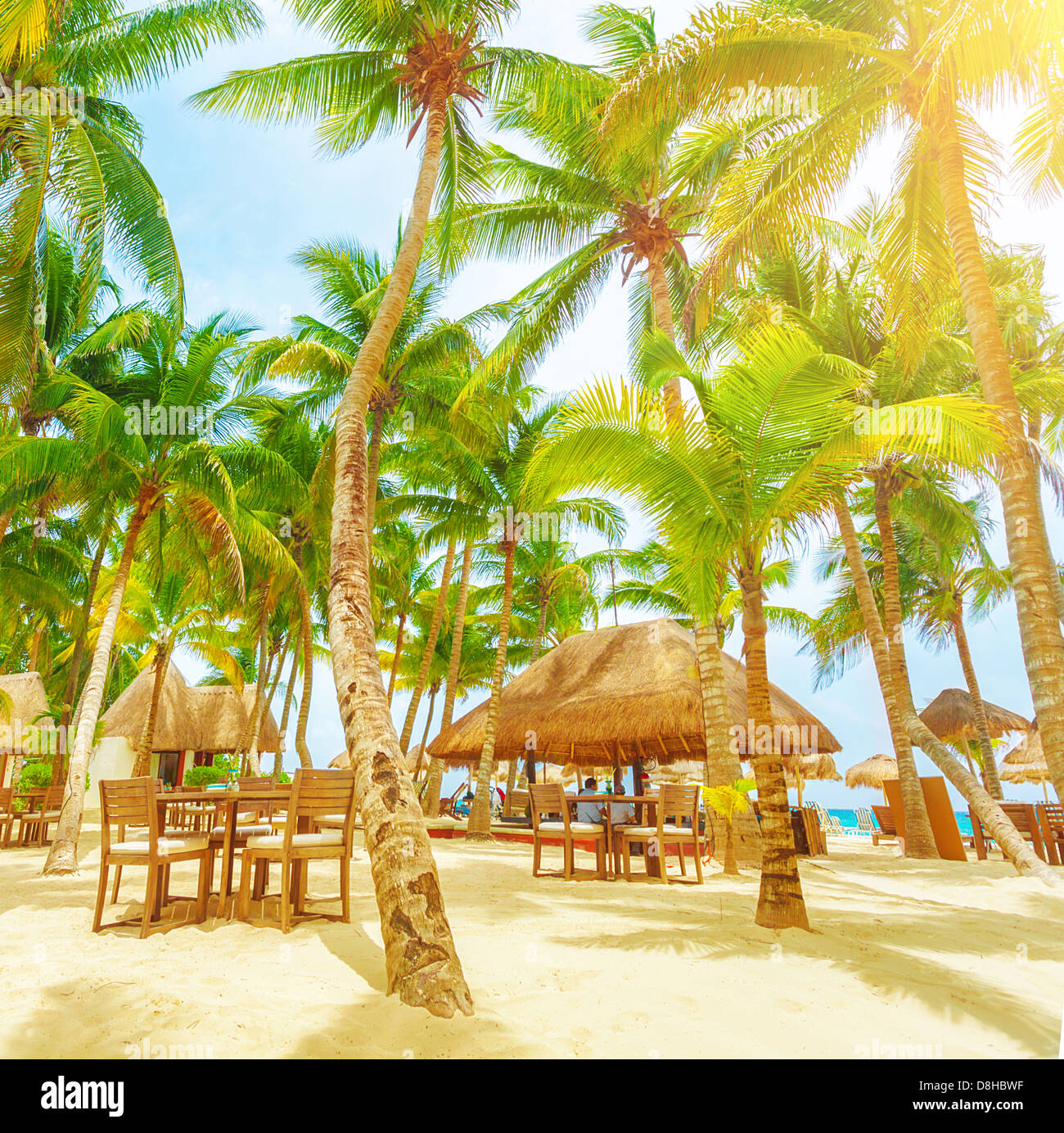 Romantico ristorante sulla spiaggia tropicale, giornata di sole, palme, Playa del Carmen, Nord America, day spa resort di lusso Foto Stock