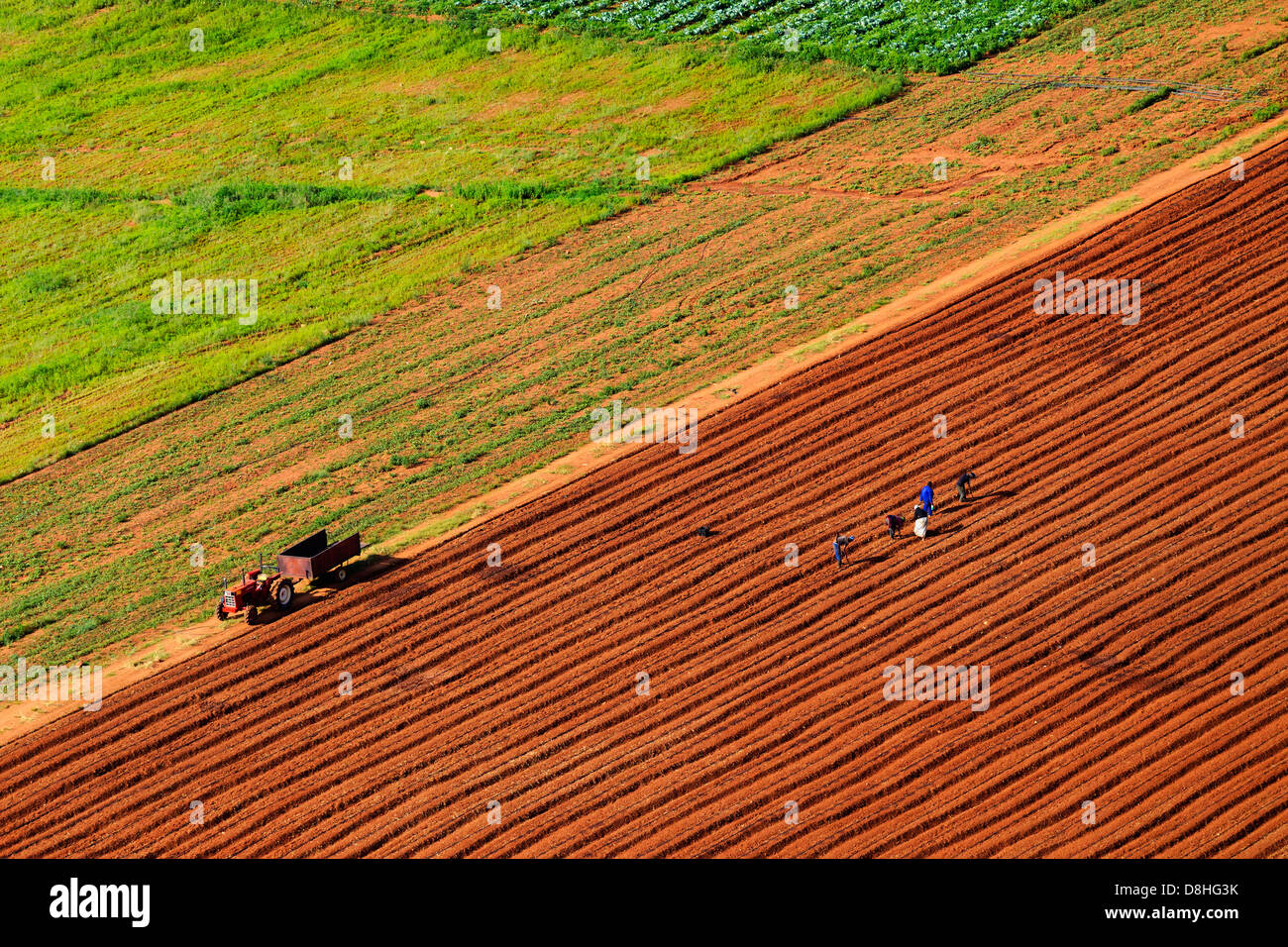 Vista aerea di terreni agricoli.Sud Africa Foto Stock