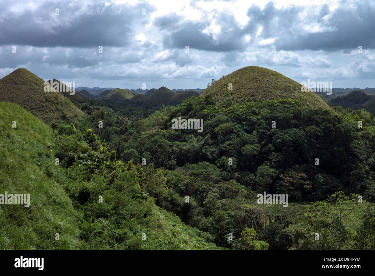 Chocolate Hills formazione geologica della Provincia di Bohol, Filippine. Foto Stock