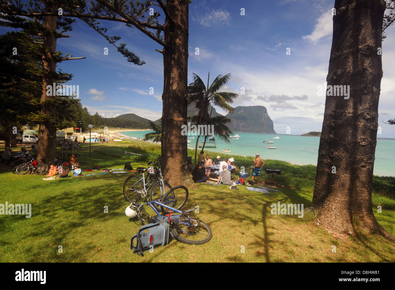 Biciclette e picnic sulla laguna foreshore, Isola di Lord Howe, Australia. N. PR o MR Foto Stock