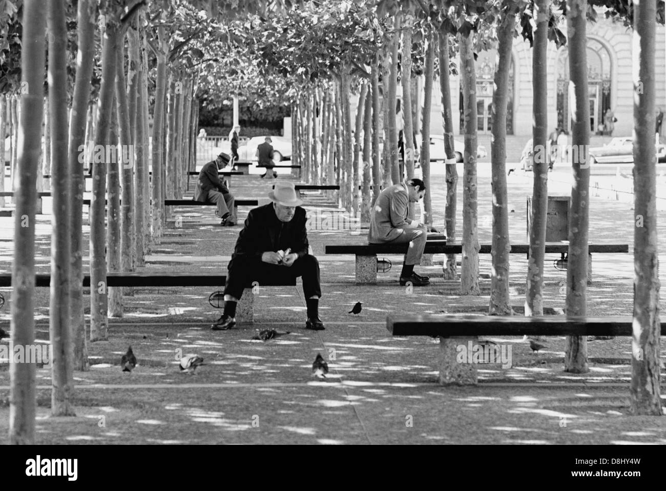 vecchio uomo anziano seduto su panca di parco che alimenta i piccioni dentro centro amministrativo san francisco usa alla fine degli anni '60 Foto Stock