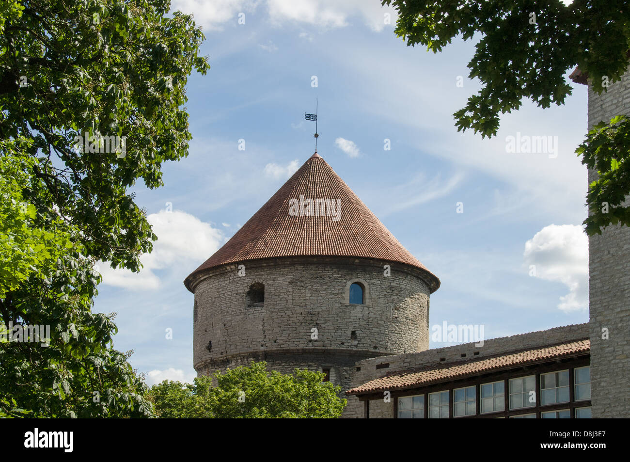 Kiek in de Kok, Torretta cannone, Tallinn, Estonia Foto Stock