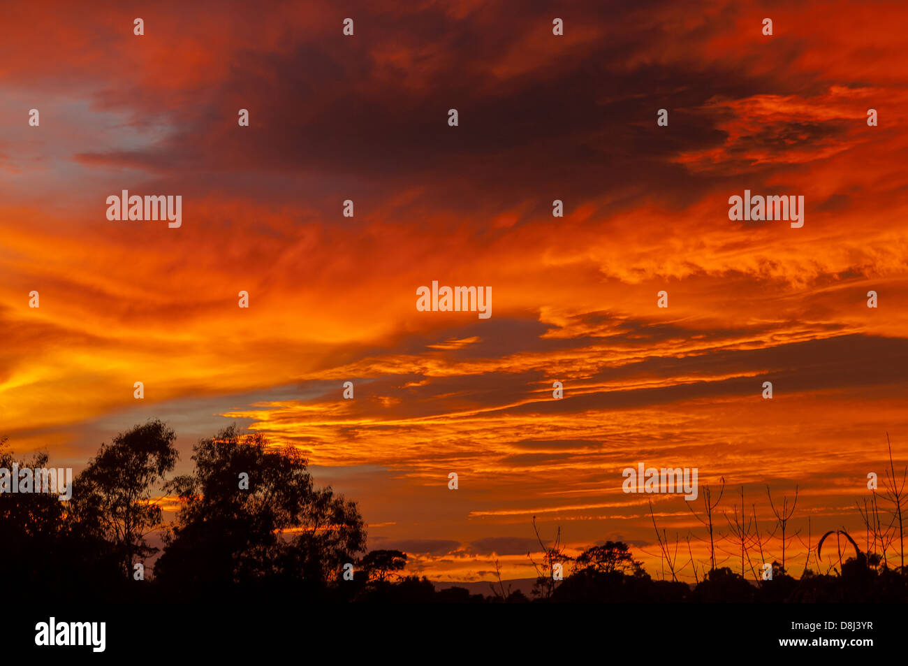 Alba sulle colline di Kinglake, Victoria, Australia Foto Stock