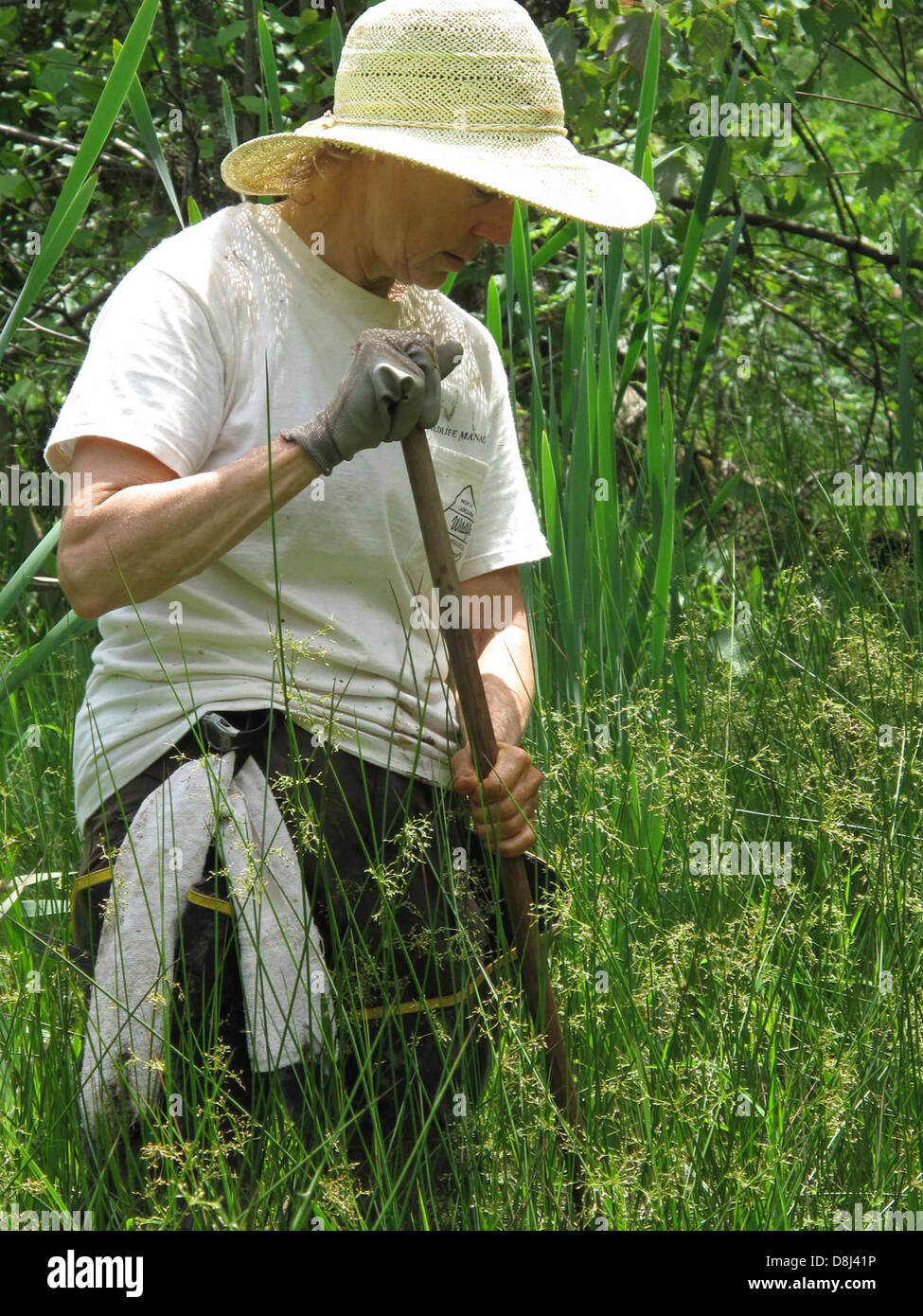 Una donna che indossa un cappello si trova in una foresta naturale, circondata da alberi e vegetazione. Il cappello fornisce ombra mentre l'individuo ama l'esterno, con la luce del sole che filtra attraverso i rami sopra. Foto Stock