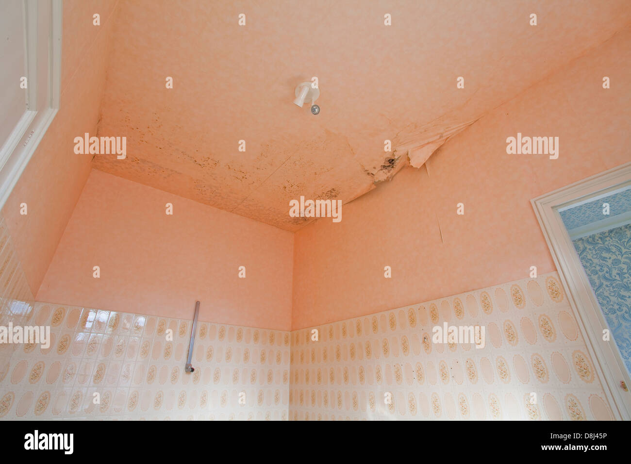 Una camera in una casa la visualizzazione di stampo e umido. Foto Stock