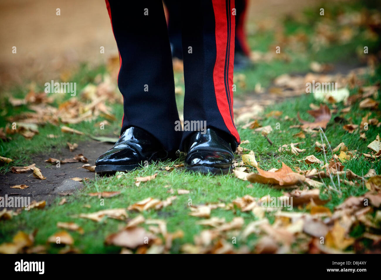 Le gambe di un soldato vestito in uniforme con lucido nero scarpe in piedi sull'erba marrone con foglie di autunno Foto Stock