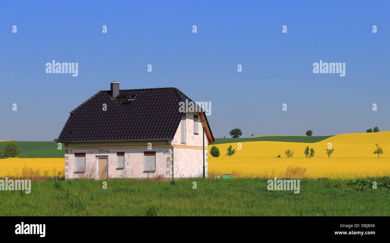 Il buiulding guscio di una casa familiare si trova in un campo nei pressi di Gersdorf, Germania, 17 maggio 2013. Foto: Jens Wolf/dpa Foto Stock