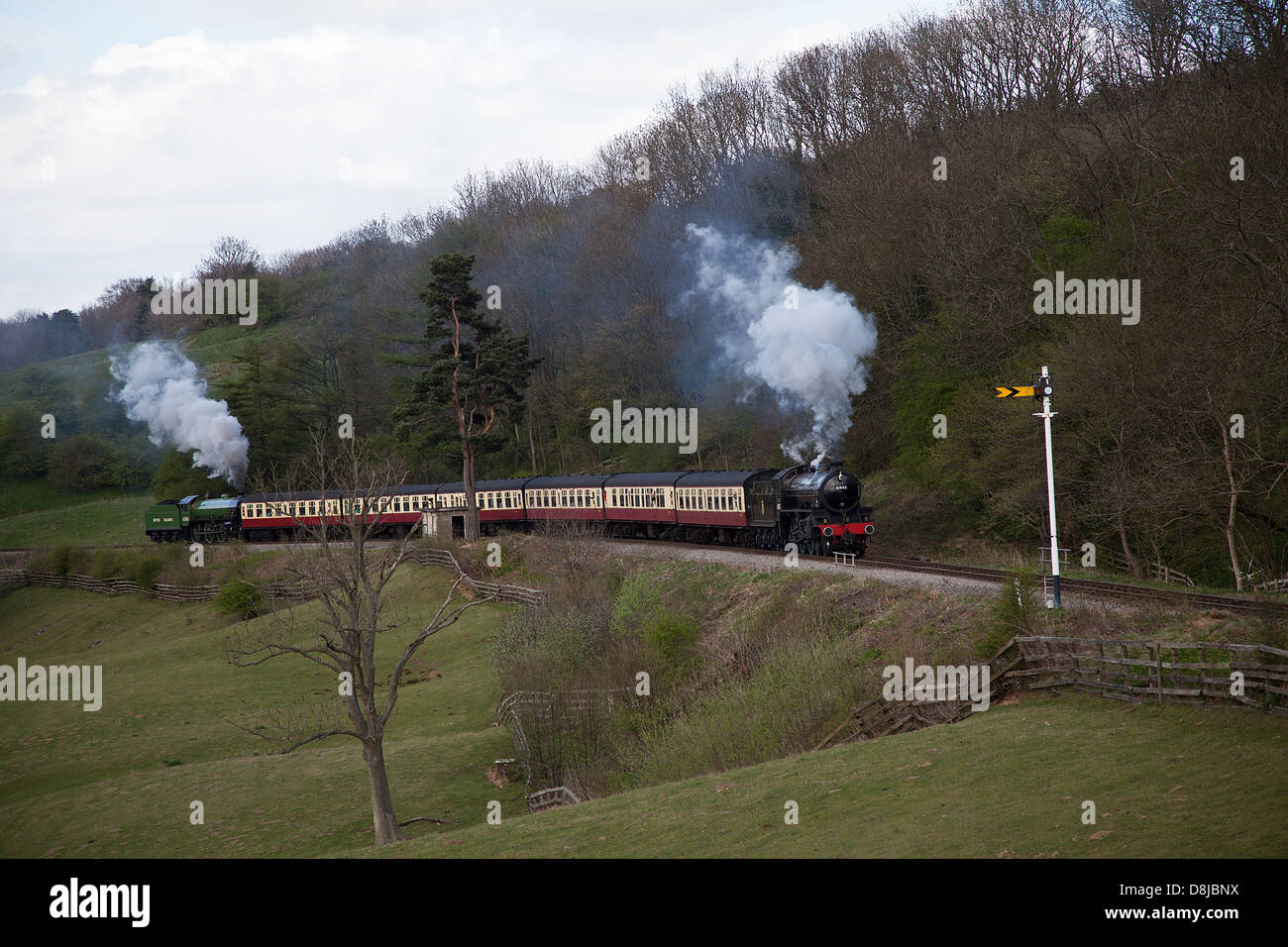 LNER B1 61306 Mayflower,LNER B1 classe n. 61002 (61264) 'Impala' North Yorkshire Moors Railway Foto Stock