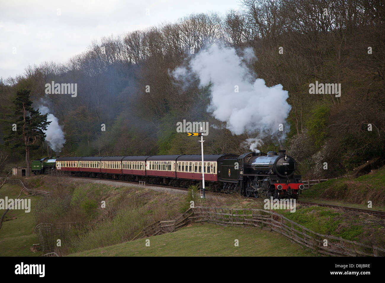 LNER B1 61306 Mayflower,LNER B1 classe n. 61002 (61264) 'Impala' North Yorkshire Moors Railway Foto Stock