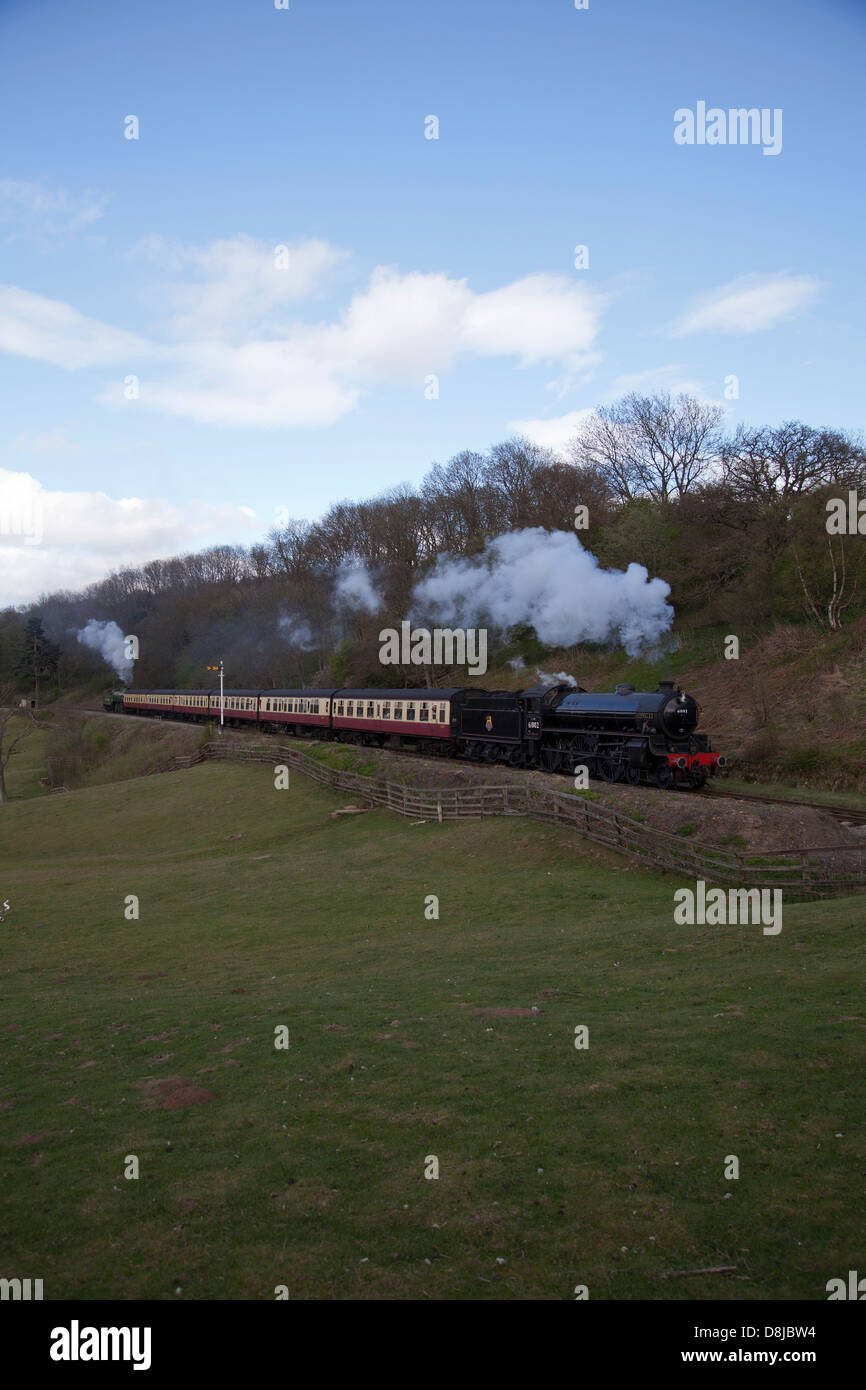 LNER B1 61306 Mayflower,LNER B1 classe n. 61002 (61264) 'Impala' North Yorkshire Moors Railway Foto Stock