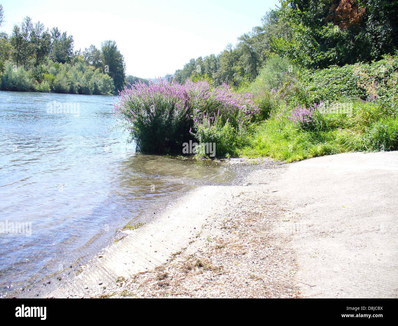 Il Lathrup Landing è un comodo punto di accesso per la nautica, che offre l'ingresso a un calmo corpo d'acqua per uso ricreativo. Foto Stock