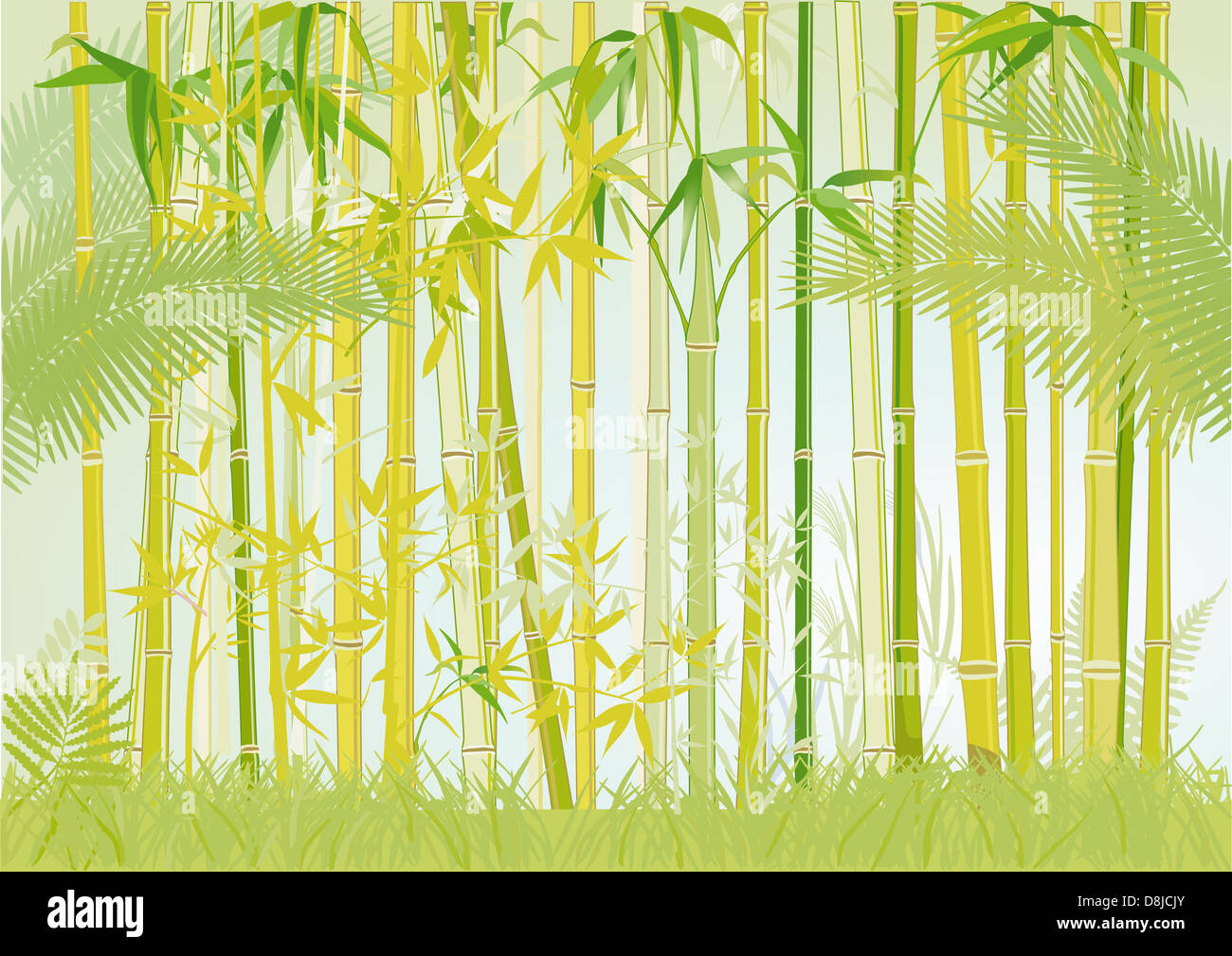 giungla di bambù Foto Stock
