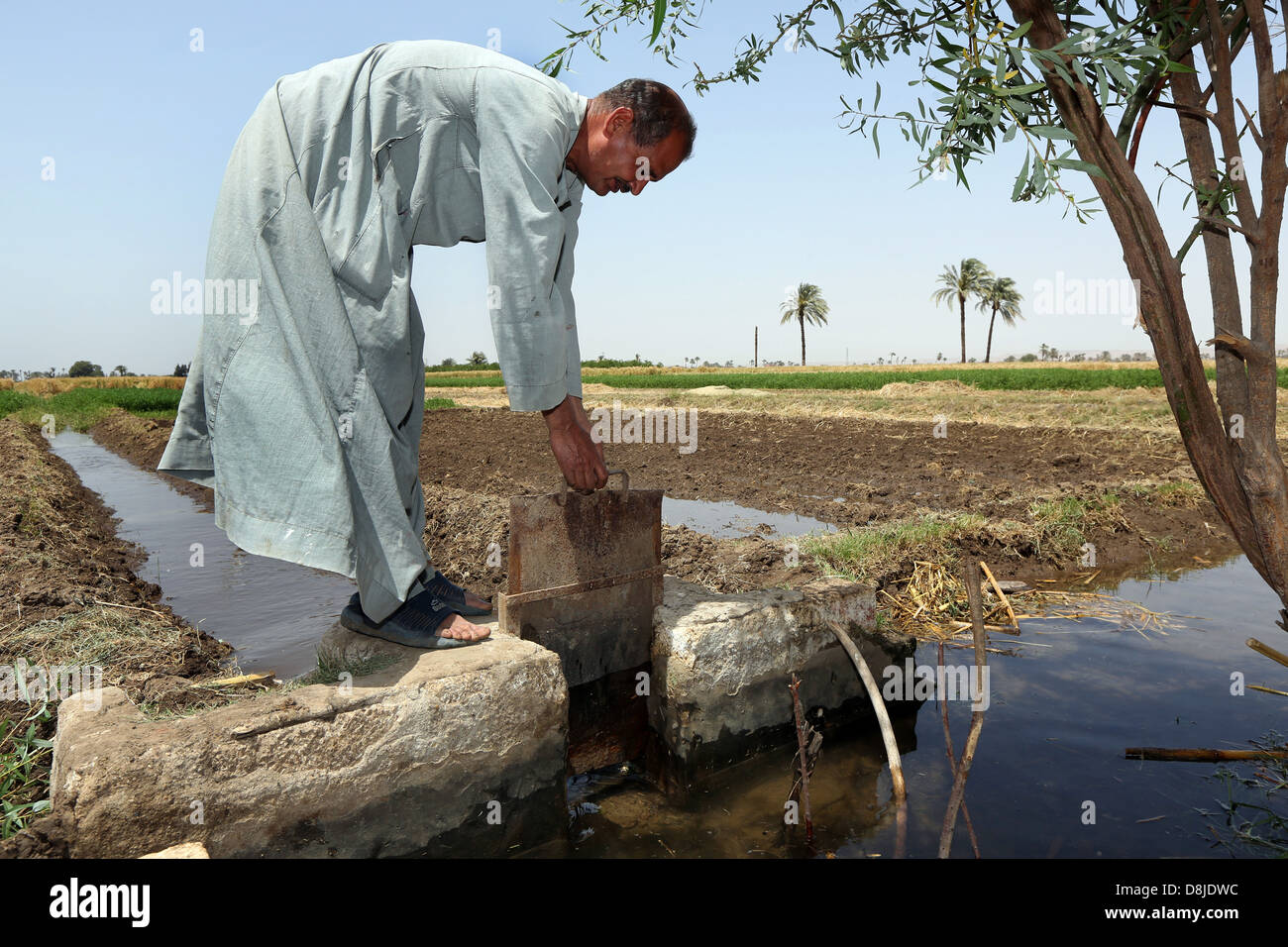Il contadino si apre un piccolo canale d'acqua dal fiume Nilo. Sistema di irrigazione con acqua il suo terreno coltivabile, Alto Egitto Foto Stock
