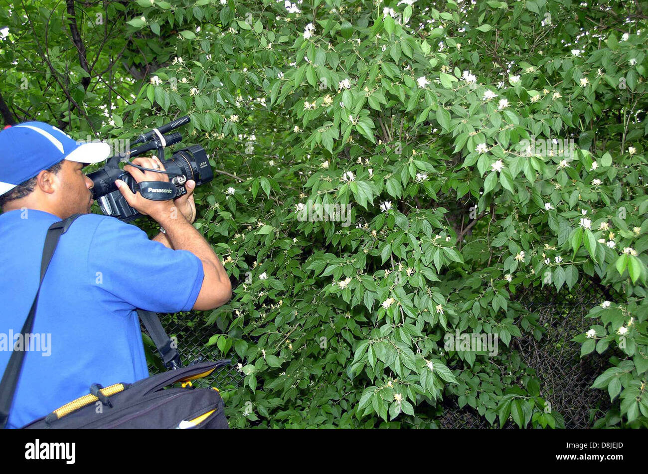 Un uomo con una videocamera, che cattura filmati. La persona è concentrata sulla registrazione, spesso utilizzata per realizzare filmati, vlogging o documentare eventi. La fotocamera è uno strumento comune per la narrazione visiva e la produzione multimediale. Foto Stock