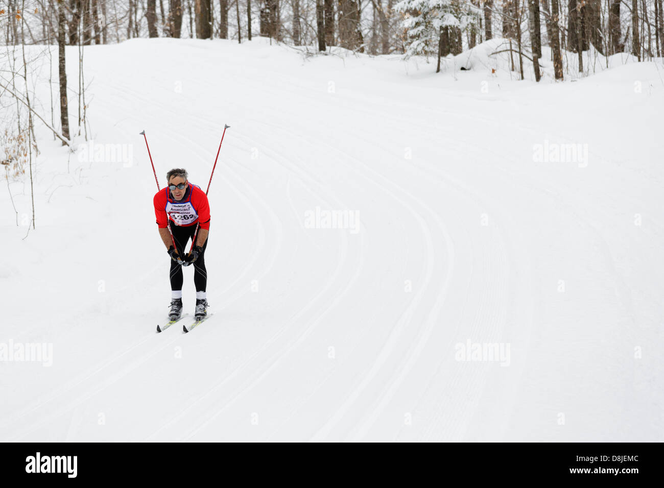 Uno sciatore in stile classico scivola in discesa sul sentiero tra Cable e Hayward Wisconsin durante il Birkebeiner americano. Immagine con copyspace. Foto Stock