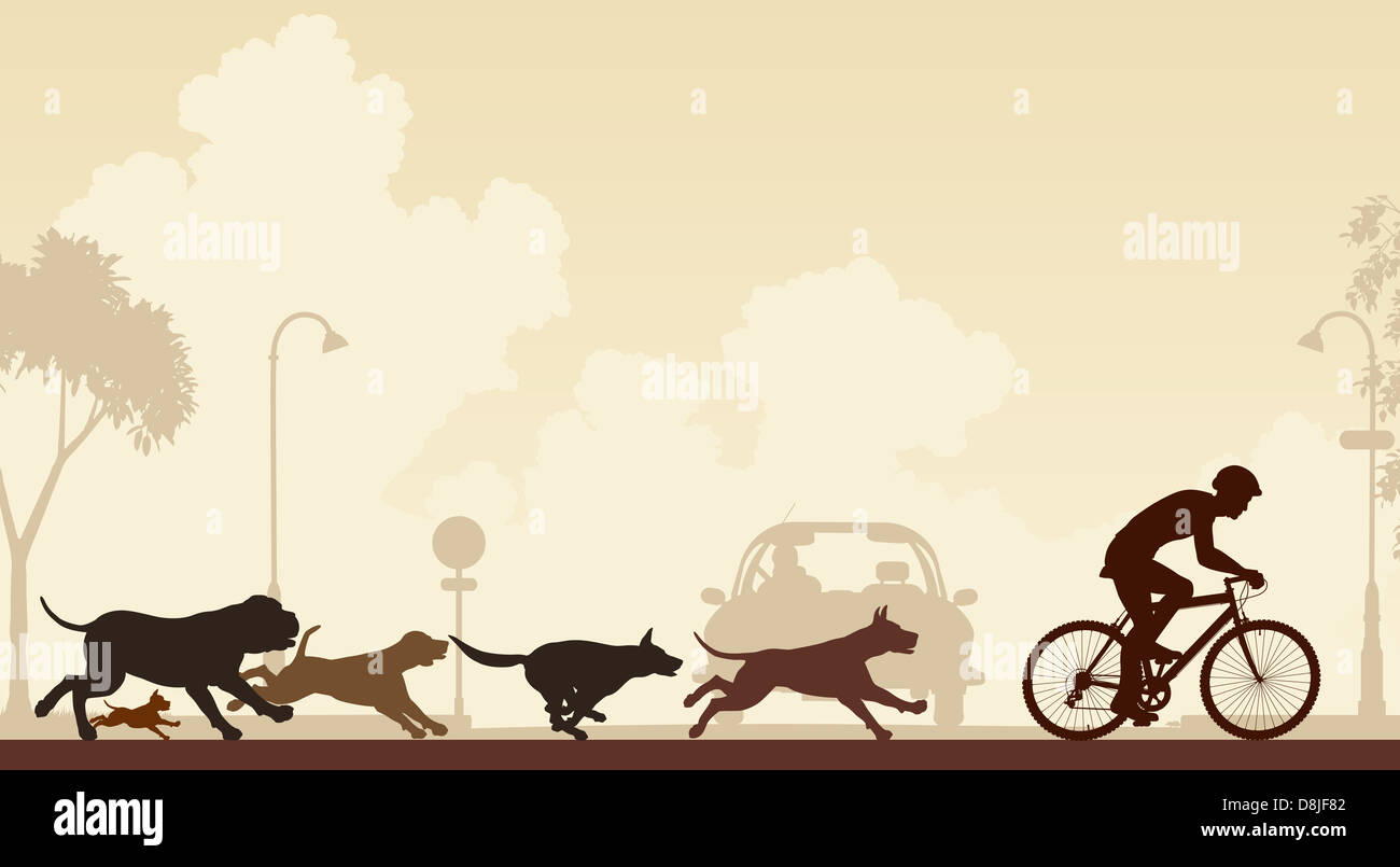 Illustrazione di cani a caccia di un ciclista lungo una strada Foto Stock