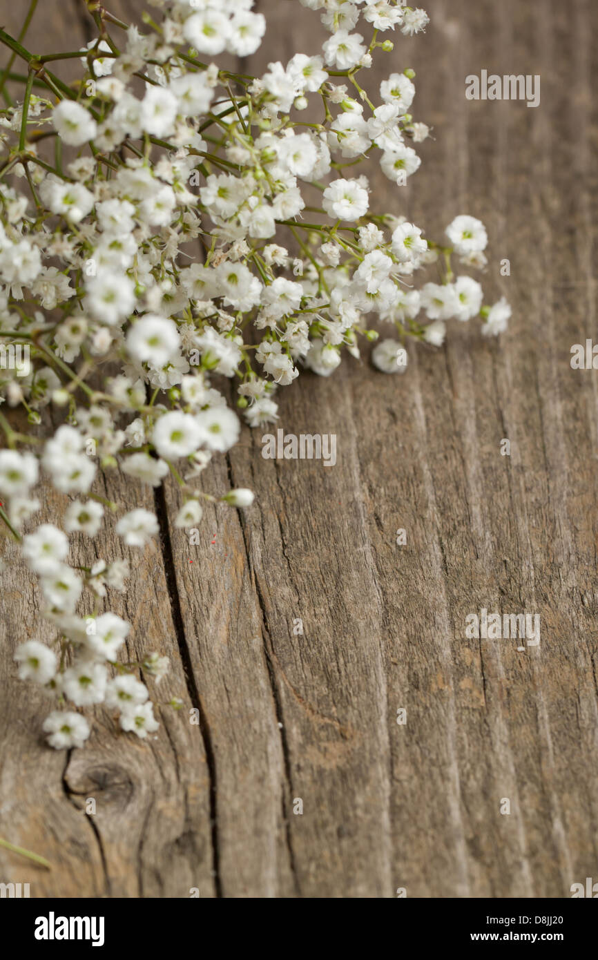 Mazzetto di Gypsophila (Baby's-respiro fiori) sul vecchio tavolo in legno Foto Stock