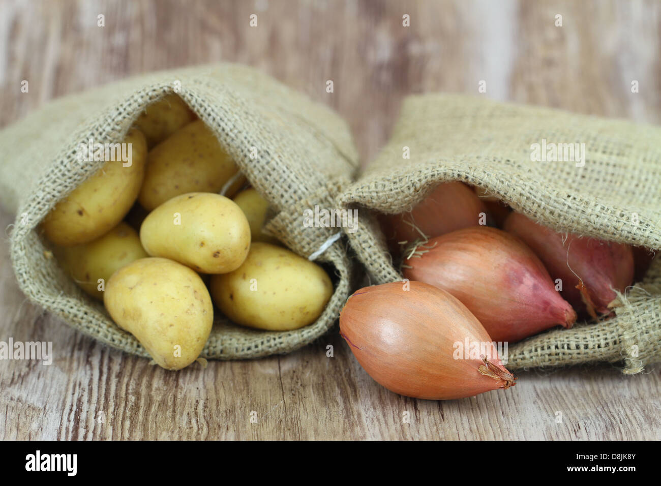 Patate di primizia e di scalogni in sacchi di iuta, close up Foto Stock