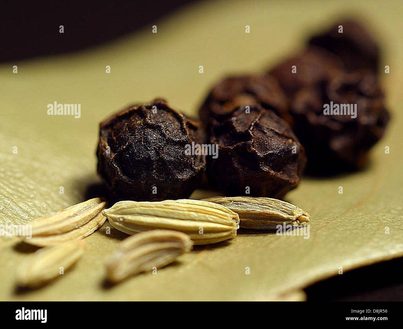 Una collezione di grani di pepe e semi di finocchio esposti insieme, evidenziandone forme e consistenze distinte. I grani di pepe sono piccoli e rotondi, mentre i semi di finocchio sono allungati con una leggera curvatura. Entrambe le spezie sono comunemente utilizzate in cucina per aggiungere sapore a una varietà di piatti. Foto Stock