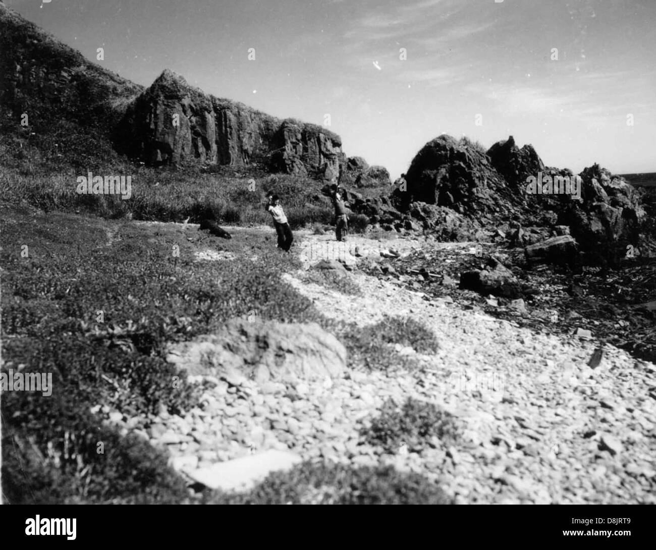 Questa foto d'epoca mostra una persona che fa un'escursione in una giornata di sole. L'escursionismo è una popolare attività all'aperto, dove gli individui esplorano i sentieri e la natura a piedi. L'immagine cattura la gioia dell'esplorazione all'aperto sotto cieli limpidi e soleggiati, con l'escursionista che si gode l'ambiente naturale circostante. Foto Stock