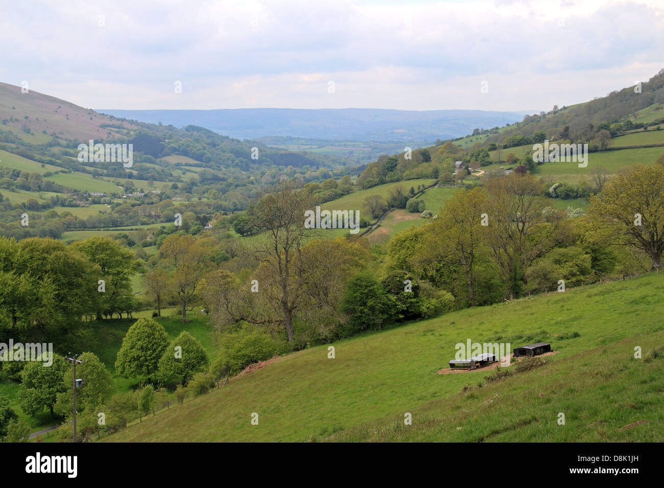 Al di sopra del Pant, Coed y Cerrig, nei pressi di Abergavenny, Monmouthshire, Gwent, Galles, Gran Bretagna, Regno Unito, Gran Bretagna, Europa Foto Stock