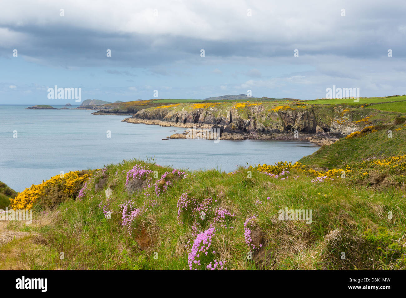 Costa del Galles Pembrokeshire da Caerfai Bay a St altopiano verso Ramsey Isola Bella Welsh scenario da St Brides Bay Foto Stock