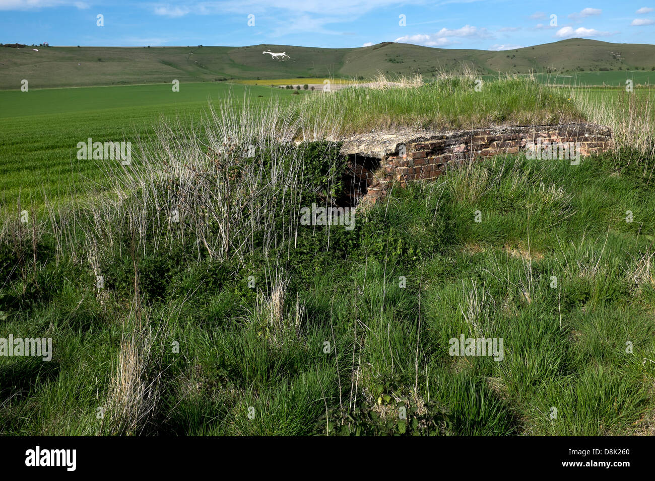 Scatola di pillole di guerra tra Stanton St Bernard e Alton Barnes Foto Stock